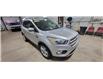 2018 Ford Escape SEL (Stk: ES244B) in Miramichi - Image 7 of 14
