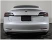 2019 Tesla Model 3 Standard Range Plus (Stk: 222009B) in Grand Falls - Image 4 of 22