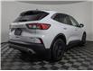 2020 Ford Escape SE (Stk: 230045NA) in Fredericton - Image 3 of 22