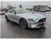 2020 Ford Mustang EcoBoost (Stk: 46383) in Windsor - Image 1 of 15