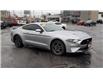 2020 Ford Mustang EcoBoost (Stk: 46383) in Windsor - Image 2 of 15