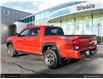 2017 Toyota Tacoma SR5 (Stk: N124076A) in St. John's - Image 4 of 20