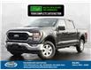 2023 Ford F-150 XLT (Stk: FS14091) in Windsor - Image 1 of 13