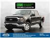 2023 Ford F-150 XLT (Stk: FS30432) in Windsor - Image 1 of 12