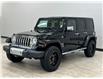 2015 Jeep Wrangler Unlimited Sahara (Stk: N416286A) in Courtenay - Image 3 of 17