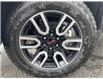 2023 GMC Sierra 1500 AT4 (Stk: 23036) in WALLACEBURG - Image 6 of 17