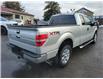 2014 Ford F-150 XLT in Kemptville - Image 14 of 16