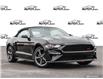2022 Ford Mustang GT Premium (Stk: 2G061) in Oakville - Image 1 of 27