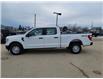 2022 Ford F-150  (Stk: F391) in Miramichi - Image 2 of 13