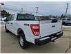 2022 Ford F-150  (Stk: F391) in Miramichi - Image 3 of 13