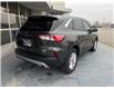 2020 Ford Escape SE (Stk: KSEL2978A) in Chatham - Image 8 of 28