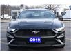 2019 Ford Mustang  (Stk: TR04952) in Windsor - Image 2 of 23
