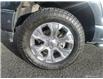 2021 Ford F-150 Platinum (Stk: TN212A) in Kamloops - Image 10 of 34