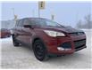 2016 Ford Escape SE (Stk: 43166A) in Saskatoon - Image 7 of 27