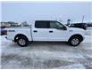 2020 Ford F-150 XLT (Stk: A0483) in Steinbach - Image 6 of 16