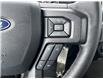 2020 Ford F-150 XLT (Stk: B11174) in Fort Saskatchewan - Image 21 of 32