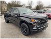 2023 Chevrolet Silverado 1500 Custom (Stk: PZ172941) in Paisley - Image 3 of 21