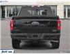 2023 Ford F-150 XLT (Stk: XFN167) in Sarnia - Image 5 of 23