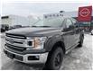 2020 Ford F-150 XLT (Stk: NI9551) in Cranbrook - Image 1 of 14