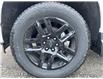 2023 Chevrolet Silverado 1500 Custom (Stk: PG173508) in Paisley - Image 10 of 21