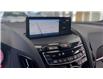 2023 Acura RDX Platinum Elite A-Spec (Stk: 15-20146) in Ottawa - Image 2 of 23