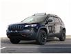 2019 Jeep Cherokee Trailhawk (Stk: A310287B) in VICTORIA - Image 1 of 29