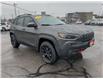 2021 Jeep Cherokee Trailhawk (Stk: 230017A) in Windsor - Image 1 of 17