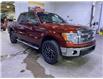 2014 Ford F-150 XLT (Stk: 22131B) in Melfort - Image 3 of 11