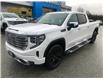2022 GMC Sierra 1500 Denali (Stk: N22368) in Squamish - Image 3 of 34