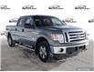 2011 Ford F-150  (Stk: FE370AAXZ) in Sault Ste. Marie - Image 1 of 24