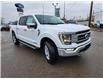 2023 Ford F-150 Lariat (Stk: 23F1347) in Mississauga - Image 3 of 38