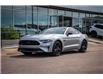2021 Ford Mustang  (Stk: 20666A) in Edmonton - Image 1 of 42