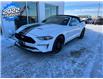 2022 Ford Mustang GT Premium (Stk: MUS2210) in Nisku - Image 1 of 19