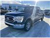 2022 Ford F-150 XLT (Stk: NLT242) in Fort Saskatchewan - Image 1 of 13