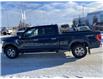 2022 Ford F-150 XLT (Stk: NLT242) in Fort Saskatchewan - Image 8 of 13