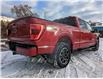 2022 Ford F-150 XLT (Stk: 10123) in Golden - Image 3 of 17