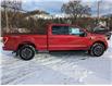2022 Ford F-150 XLT (Stk: 10123) in Golden - Image 4 of 17
