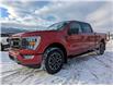 2022 Ford F-150 XLT (Stk: 10123) in Golden - Image 7 of 17