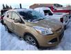 2014 Ford Escape Titanium (Stk: 9434FB-1) in Edmonton - Image 1 of 6