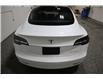 2020 Tesla Model 3 Long Range (Stk: 9595) in Stony Plain - Image 5 of 21