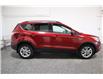 2017 Ford Escape SE (Stk: 9402) in Edmonton - Image 4 of 20