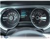 2014 Ford Mustang V6 Premium (Stk: N-1510AA) in Calgary - Image 18 of 28