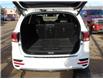 2018 Kia Sorento 2.0L SX (Stk: N230113A) in Stony Plain - Image 15 of 50