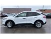 2021 Ford Escape S AWD -  Remote Start - Low Mileage (Stk: MUA13368) in Sarnia - Image 5 of 21