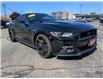 2017 Ford Mustang GT Premium (Stk: 46410) in Windsor - Image 1 of 15