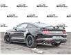 2023 Ford Mustang GT Premium (Stk: 3G002) in Oakville - Image 4 of 27