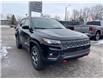 2022 Jeep Compass Trailhawk (Stk: 227608) in Hamilton - Image 14 of 16