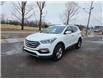 2017 Hyundai Santa Fe Sport 2.4 Premium (Stk: N067542B) in Charlottetown - Image 3 of 19