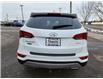 2017 Hyundai Santa Fe Sport 2.4 Premium (Stk: N067542B) in Charlottetown - Image 6 of 19