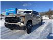 2023 Chevrolet Silverado 1500 Custom Trail Boss (Stk: 11418) in Wakefield - Image 1 of 21